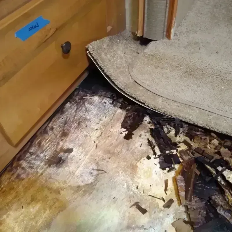 Best Wood Floor Water Damage Service in Atkinson, NE